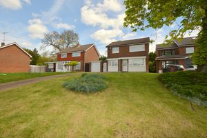 Photo 4- click for photo gallery